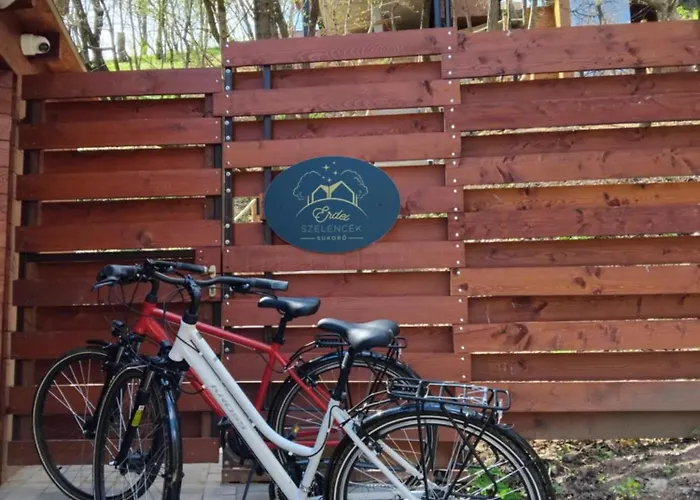 Erdei Szelencek דירה